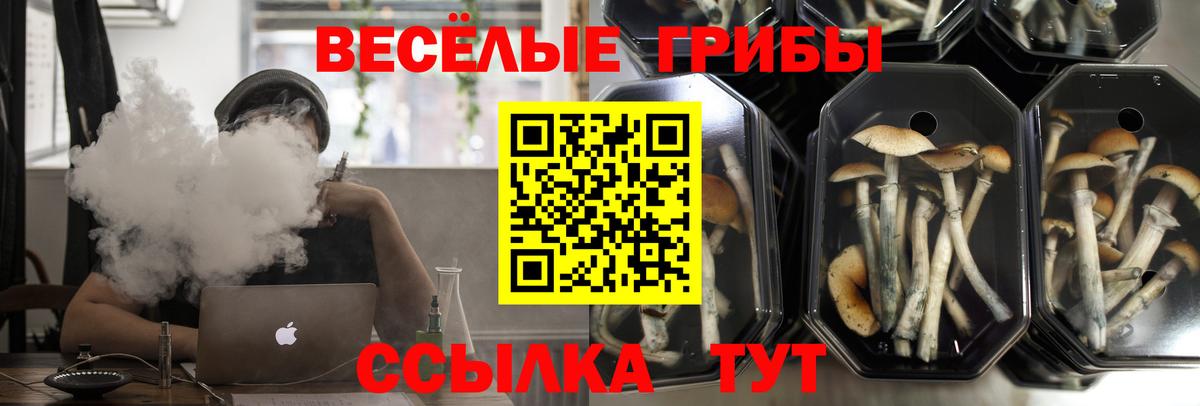 Псилоцибиновые грибы прущие грибы Лабытнанги
